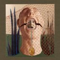 toverdozen_11_600